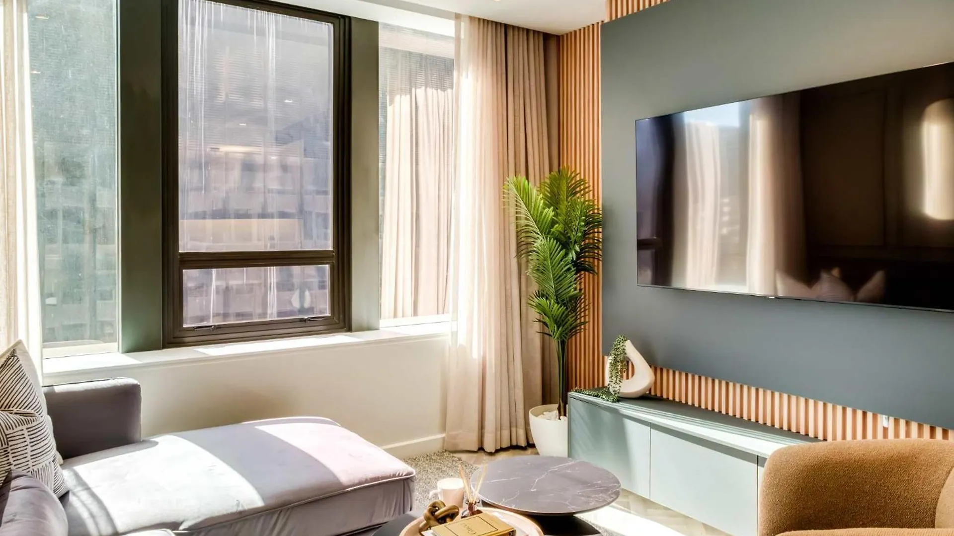 City Suite 805 ile iletişim